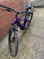 Specialized 19 Levo WMS HT E-bike RH M 29 Zoll Kreis Ostholstein - Süsel Vorschau