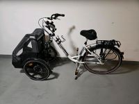 Addbike+ inkl. CarryDog-Kit Nordrhein-Westfalen - Bocholt Vorschau