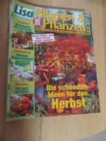 10 Zeitschriften LISA Blumen & Pflanzen Brandenburg - Spremberg Vorschau
