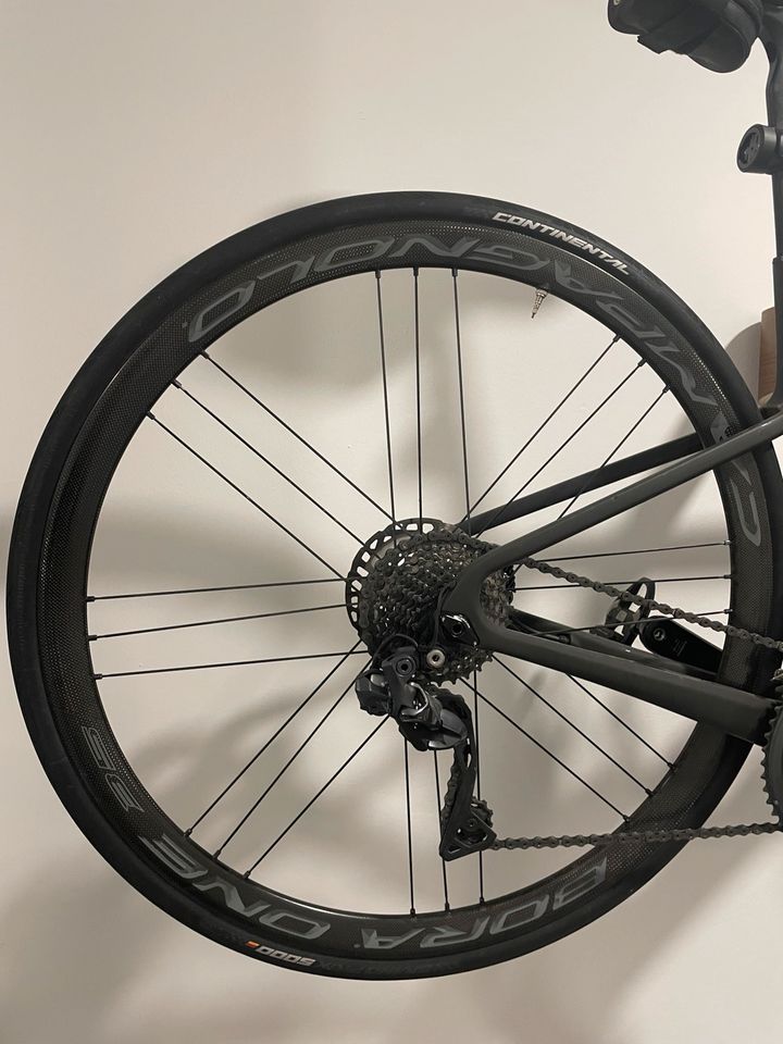 Campagnolo Bora One 35 DB Clincher Shimano Freilauf in Freilassing