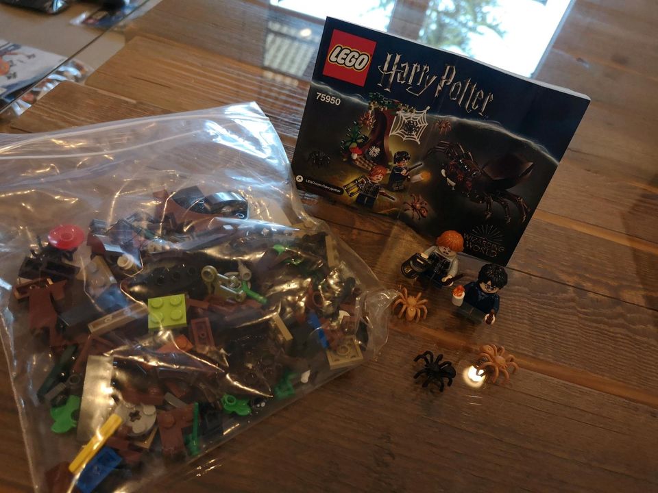 Lego Harry Potter 75950 in Ludwigshafen