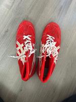 Asics Ringerschuhe rot Schleswig-Holstein - Lübeck Vorschau