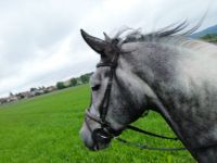 Pflegebeteiligung Baden-Württemberg - Horgenzell Vorschau