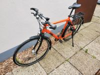 KTM Imola 8 56er Rahmen Herren Trekking Fahrrad Edewecht - Edewecht - Friedrichsfehn Vorschau