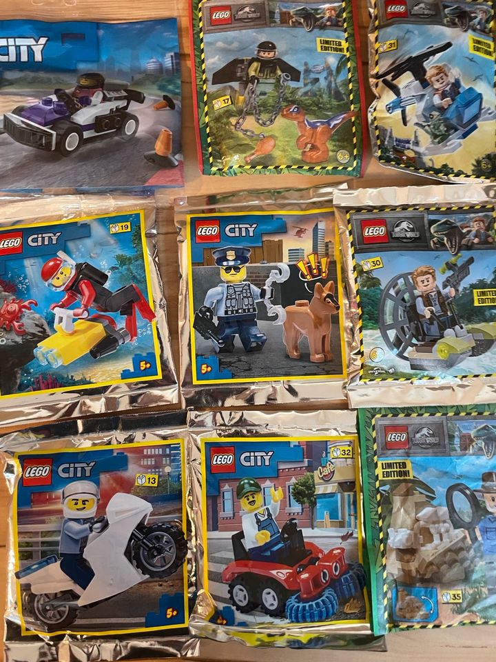 Lego City, Harry Potter, Jurassic world in Hermsdorf