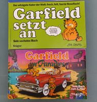 Garfield Hefte Buch Jim Davis Antiquariat 80er Comics ❤️NEU❤️ Kr. Altötting - Burgkirchen Vorschau