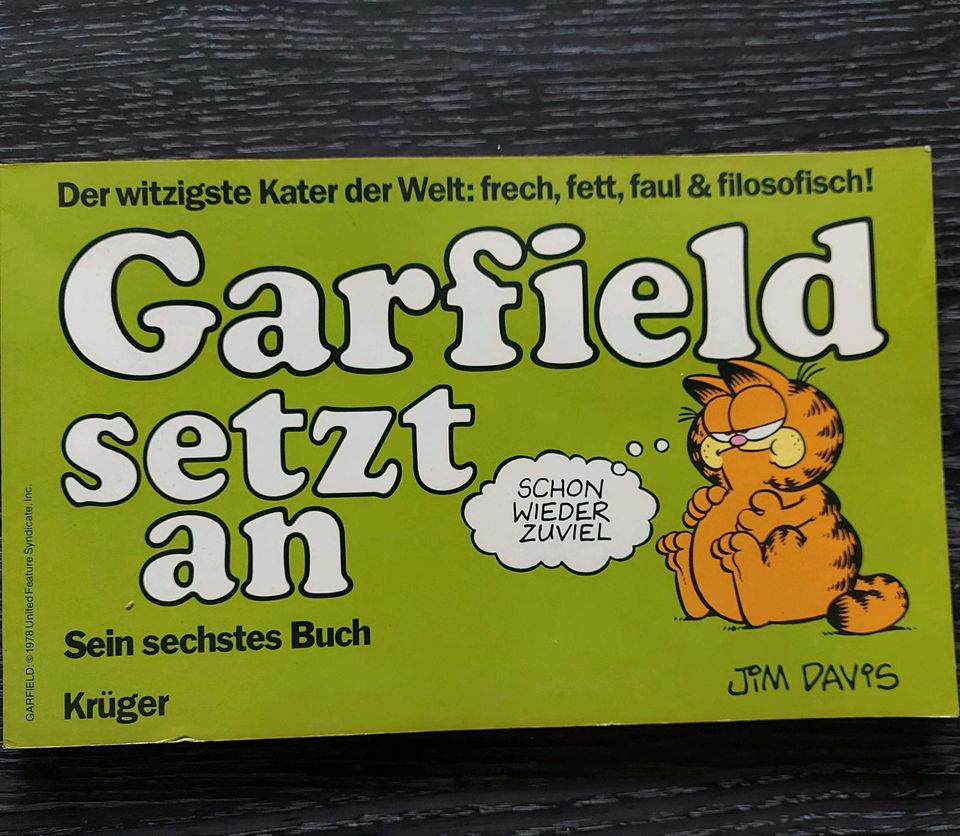 Garfield Buch in Eppelheim