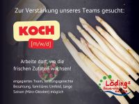 Koch/Köchin (m/w/d) für Buffets, Vollzeit Teilzeit Freelancer Schleswig-Holstein - Buchholz bei Ratzeburg Vorschau