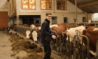 Landwirtschaftliche Elektroprüfungen (Anlagen- und Geräteprüfung) Bayern - Rednitzhembach Vorschau