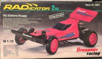 RC Graupner Elektro-Buggy 2WD, 1992, 1:10, inkl. Fernbedienung Kreis Pinneberg - Bönningstedt Vorschau