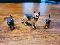 Schleich Hund Sachsen-Anhalt - Salzatal Vorschau