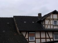 Braas Dachziegel Dachsteine Frankfurter Pfanne grau ca. 240 qm Hessen - Fritzlar Vorschau