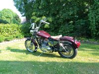 Harley Davidson XL2 Sportster 883 Mecklenburg-Vorpommern - Damerow Vorschau