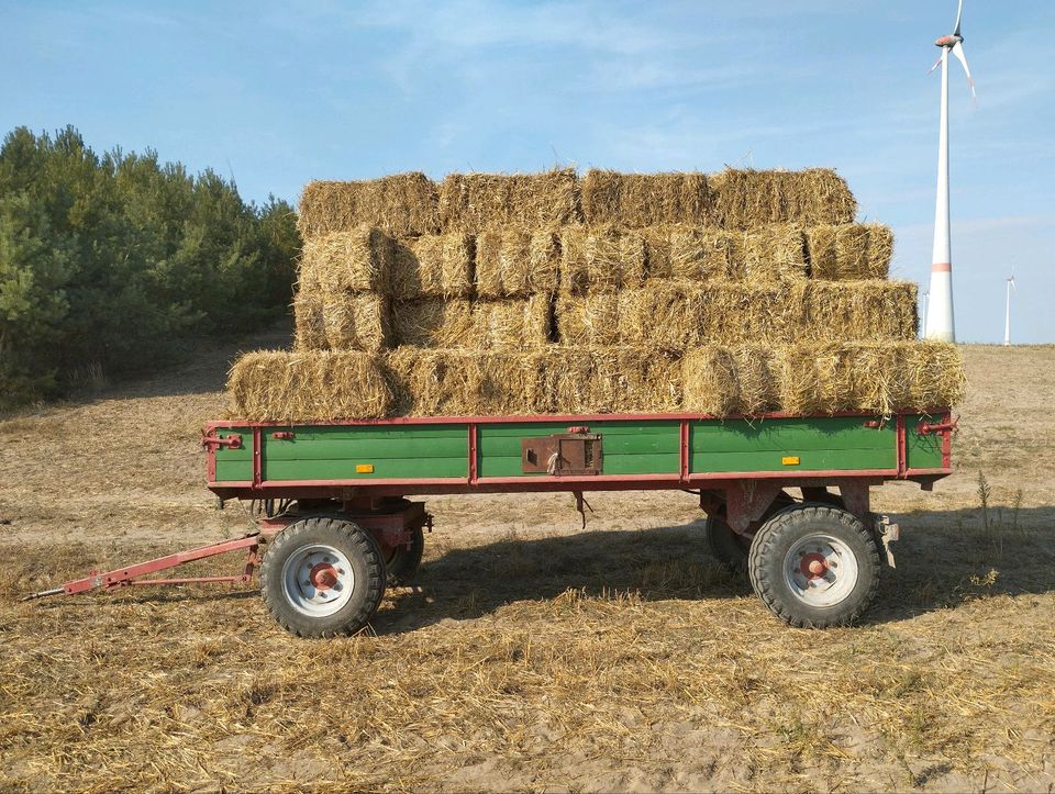 Stroh und Heu Pressen in Bismark (Altmark)