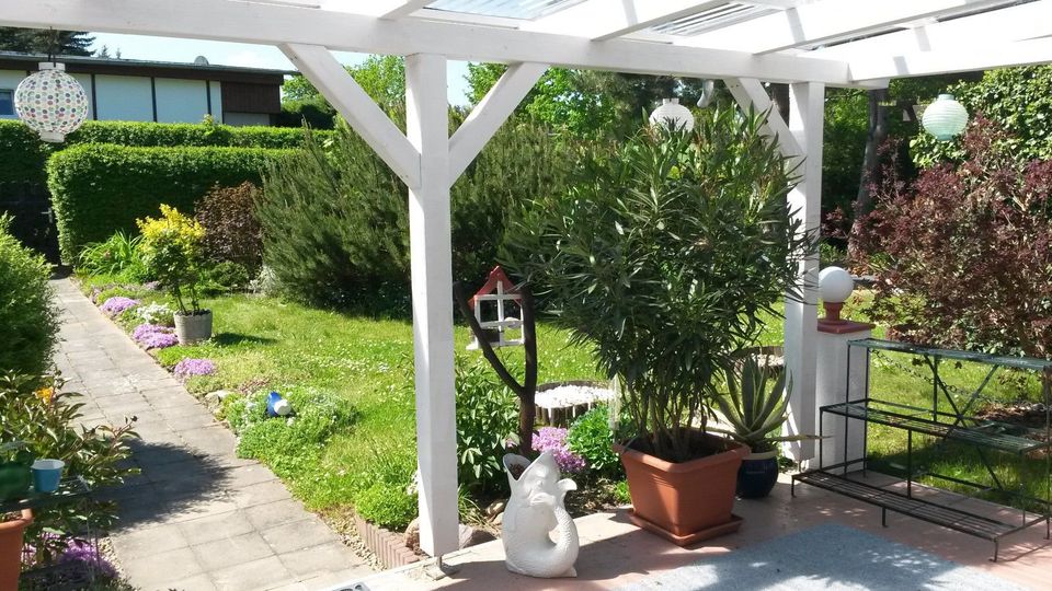 Ferienhaus / Hunde im Preis enthalten in Strehla