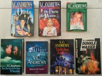 7x V.C. Andrews Foxworth-Saga Orphan-Saga Logan-Saga Landry-Saga Rheinland-Pfalz - Mainz Vorschau