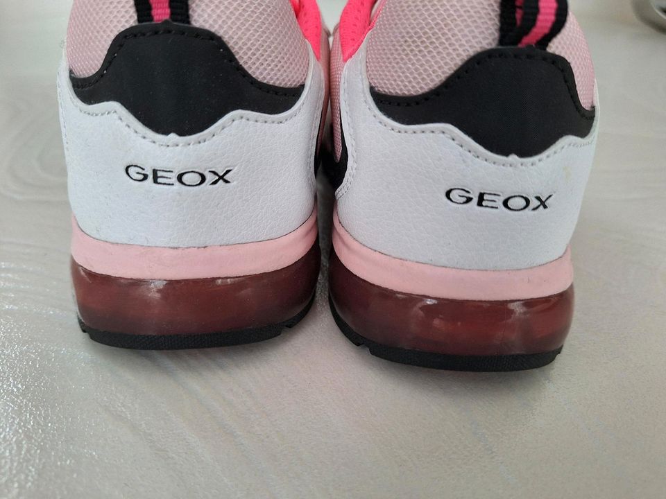 Geox Sneakers Blinkeschuhe NEU! in Egelsbach