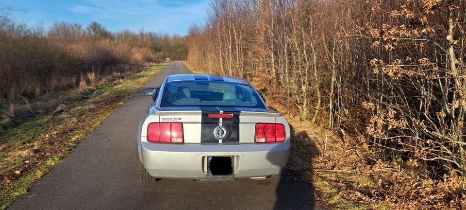 Ford Mustang mit LPG in Neumünster