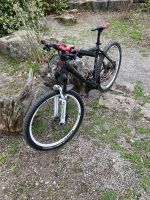 Focus LTD Mountainbike Baden-Württemberg - Sindelfingen Vorschau