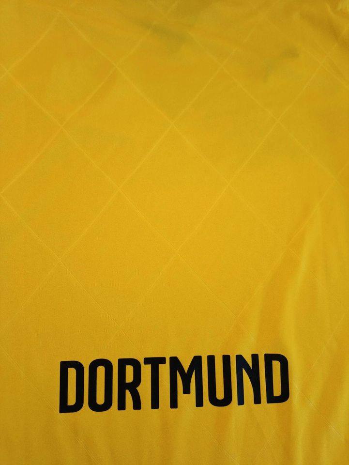 Borussia Dortmund BVB Europa Cup Heimtrikot 2015 - 2016 Größe L in Issum