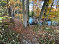 Ein Idyll  - Waldsee, Wald, Acker und Wiese Bayern - Isen Vorschau