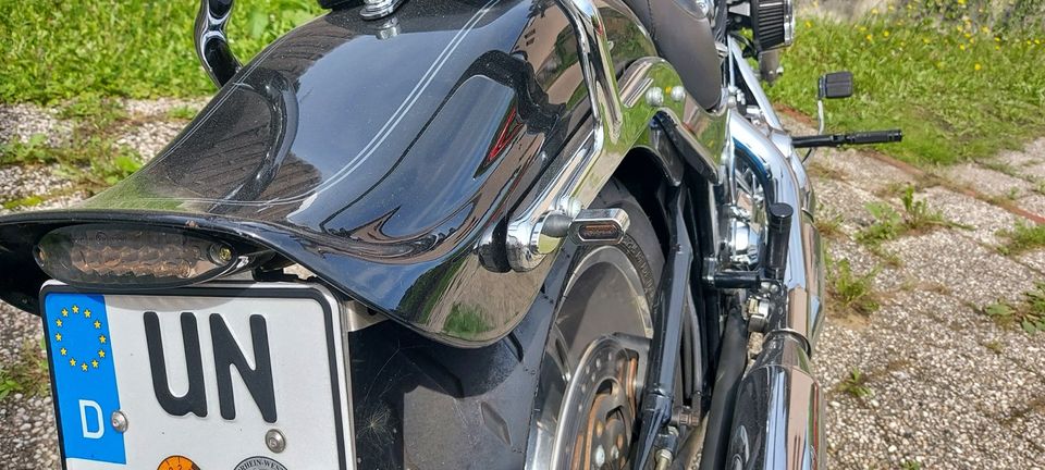 Harley Davidson FXSTC Softail 5HD, KessTech, 200er Hinterrad in Kamen
