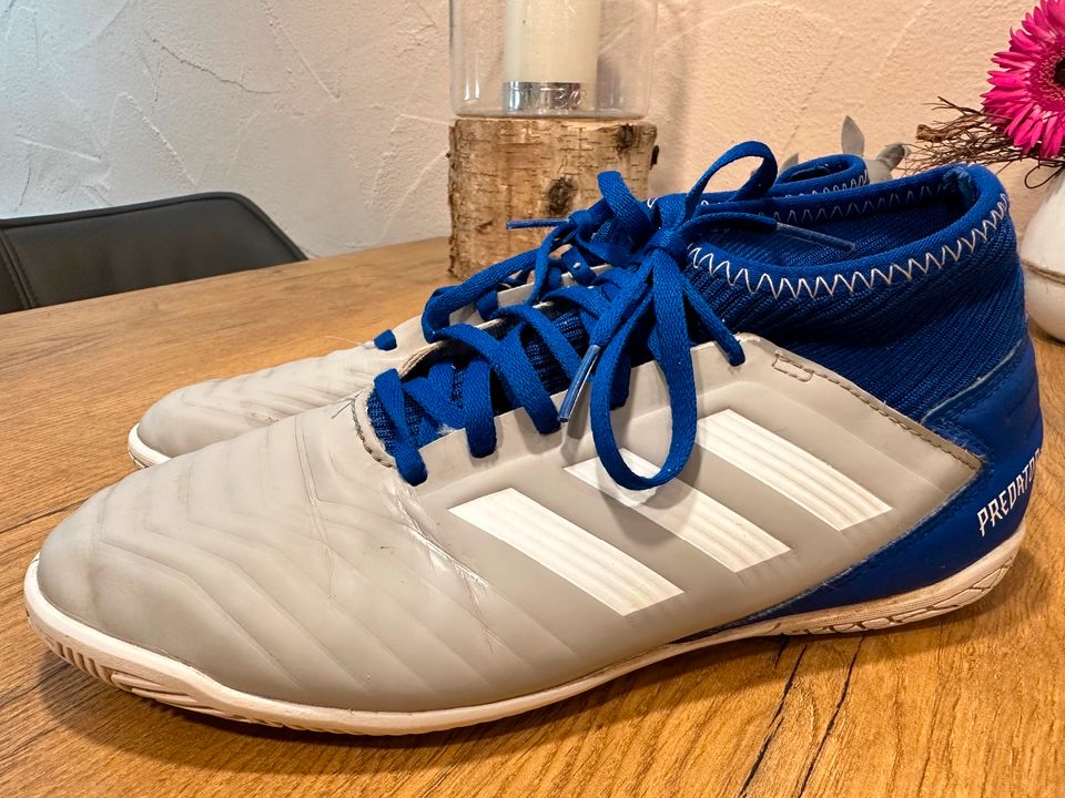 ADIDAS PREDATOR SOCKEN FUSSBALLSCHUHE HALLE 38 2/3 in Sachsen - Freiberg |  eBay Kleinanzeigen ist jetzt Kleinanzeigen