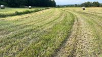 Landwirtschaftliche Nutzflächen zum Kaufen oder Pachten Bayern - Eckersdorf Vorschau