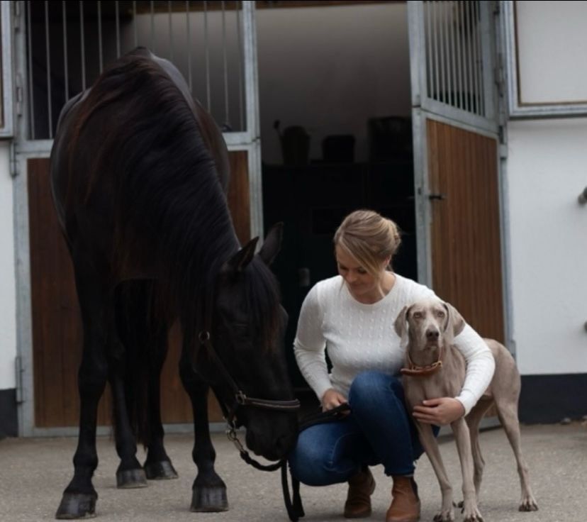 Tierphysiotherapie Pferd & Hund Dorntherapie & Akupunktur in Altenstadt