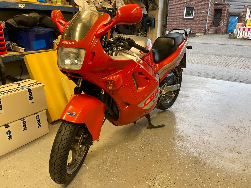 Honda CBR 600 in Elsdorf