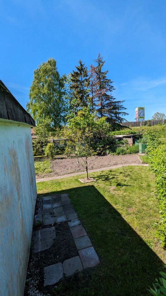 Garten 237 m² mit Laube (Sparte " Vorwärts ") in Stralsund