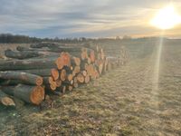 Brennholz, Holz, Feuerholkz vom Forstbetrieb! Nordvorpommern - Landkreis - Marlow Vorschau