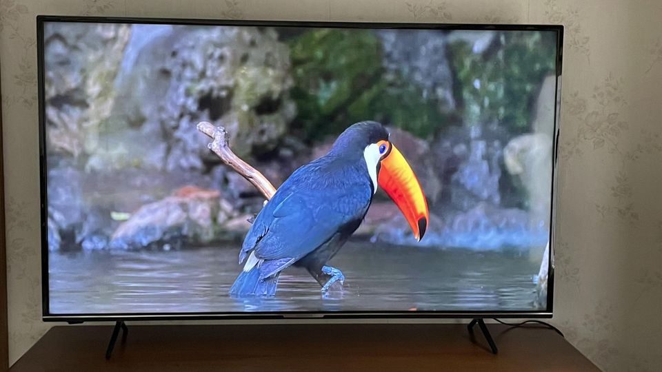 MEDION LIFE X15558 58 Zoll UHD 4K Wlan Smart-TV Fernseher in Himmelpforten