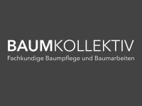 Baumpflege | Sturmschäden | Fällungen | Baumschutz | Ganzjährig Kreis Pinneberg - Wedel Vorschau