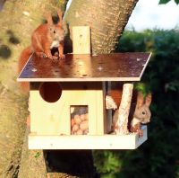 Eichhörnchenfutterhaus Futterhaus Eichhörnchen Nordrhein-Westfalen - Gescher Vorschau