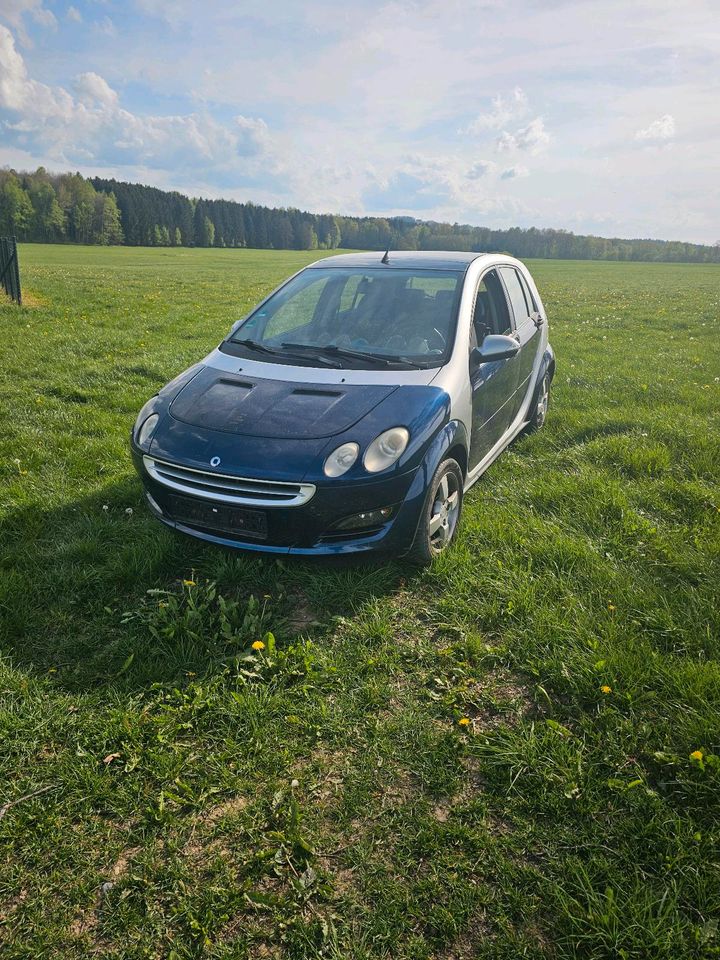 Smart ForFour 1.1 in Auerbach (Vogtland)