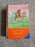 Galopp in die Freiheit von Fiona Kelly Wandsbek - Hamburg Rahlstedt Vorschau