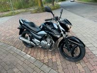 Schöne Gepflegte Suzuki GW 250 Inazuma Nur 4820KM Nordrhein-Westfalen - Herne Vorschau