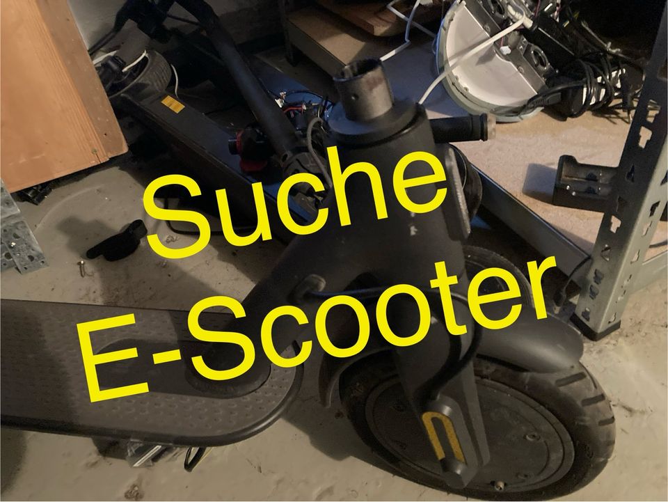 SUCHE E-Scooter (alt oder defekt) in Grebenstein