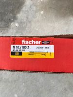 Fischer Nageldübel N 10 x 100 Z Bayern - Finningen Vorschau