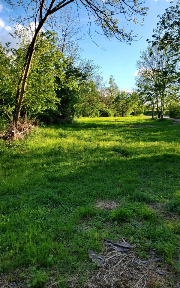 Weide oder Wiese bei Burgliebenau zu verpachten in Schkopau