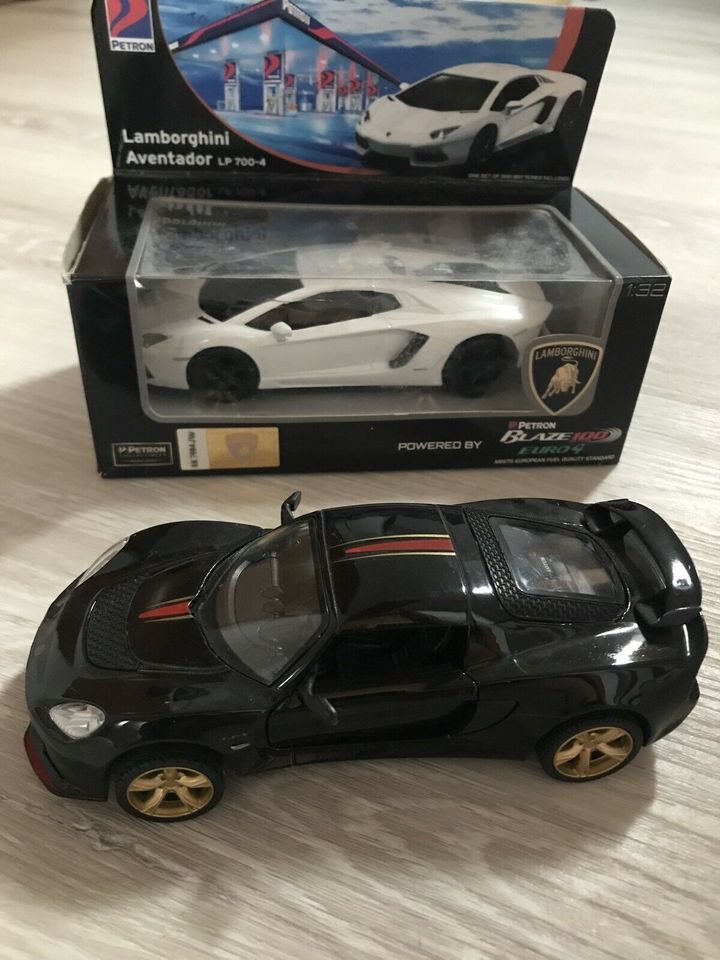 Modellautos Lamborghini und Lotus in Hoppstädten-Weiersbach