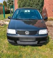 vw polo 6 n Niedersachsen - Bad Nenndorf Vorschau