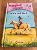 Ponyhof Liliengrün Band 1 Marie und Merlin Pferdegeschichte Hessen - Geisenheim Vorschau