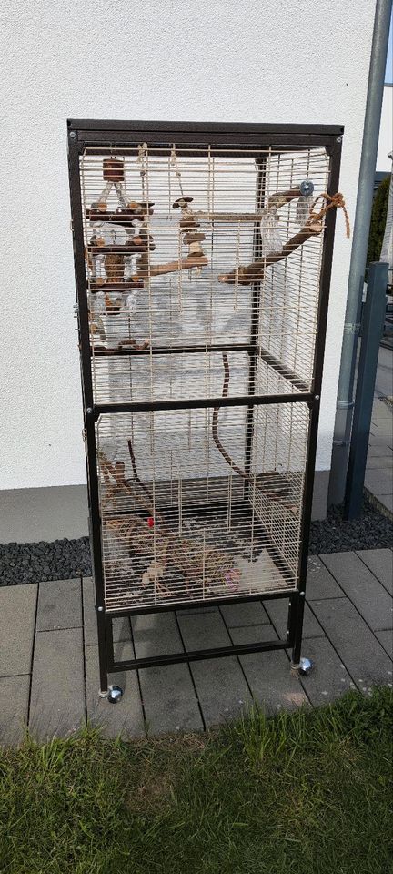 Vogelkäfig in Tübingen