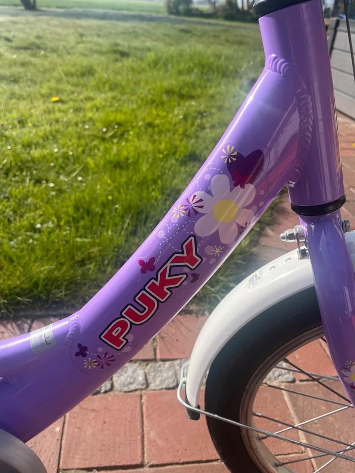 Puky Kinderfahrrad Alu 16 Zoll mit Elsa Fahne + Stützrädern in Mülheim (Ruhr)