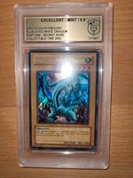 Graded Blue Eyes White Dragon BPT-009 2003 GSG PSA Yugioh Karten München - Untergiesing-Harlaching Vorschau