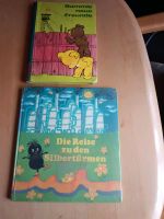 Kinderbücher DDR Bummi, Pittiplatsch Sachsen - Augustusburg Vorschau