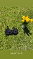 Bikini Oberteil Niedersachsen - Nordenham Vorschau