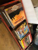 620 LP Vinyl Schallplatten Sammlung Hessen - Schwalmstadt Vorschau